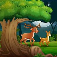 A deer with her cub in the forest at night vector