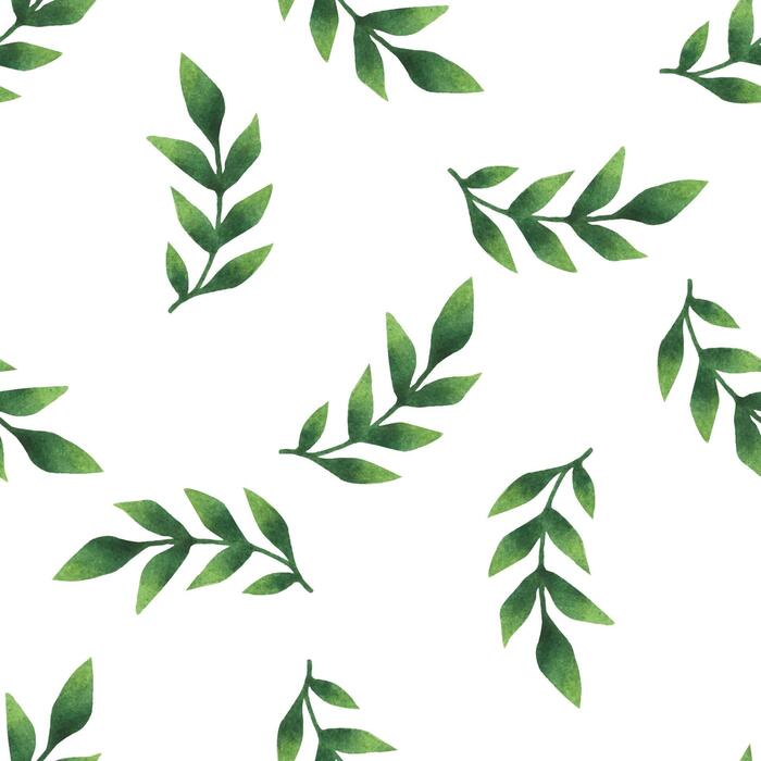 Watercolor Leaves Vector Art, Icons, and Graphics for Free Download