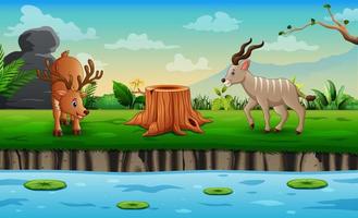 Cute a deer and impala playing by the river illustration vector