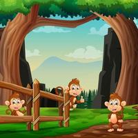 divertidos tres monos jugando en la naturaleza vector