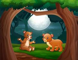 Cartoon two bears in the jungle at night illustration vector