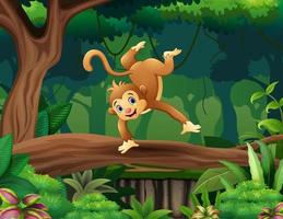 Cartoon illustration of a monkey on the tree vector