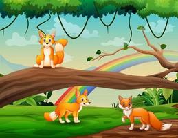 linda caricatura de tres zorros jugando en la jungla vector