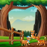 Cute three cats playing in the nature vector