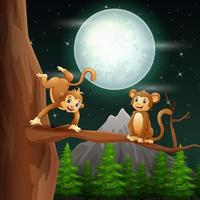 Cartoon of monkeys on the tree branch at night vector