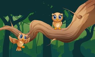 Cute two owls on the tree branch illustration vector