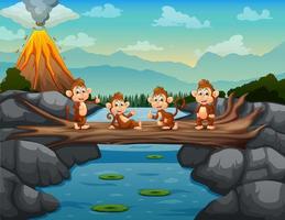 Cartoon of monkeys on the tree trunk bridge vector