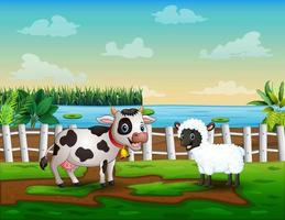 Cartoon a cow and sheep in the farm
