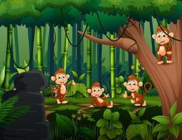 monos de dibujos animados jugando en la jungla vector