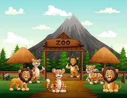 dibujos animados de leones y tigres jugando en la entrada del zoológico vector