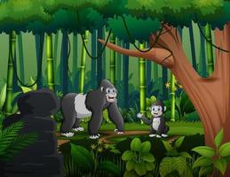 caricatura de un gorila con su cachorro viviendo en la jungla vector