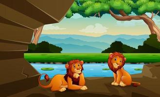 Cartoon of two lions relaxing in a cave vector