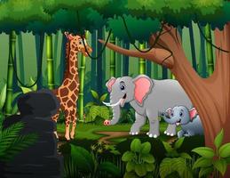 caricatura, jirafa, y, elefantes, vivir, en, el, selva