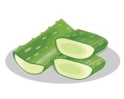 hierba de aloe vera con una rodaja y cortada por la mitad vector