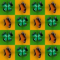 beautiful orange and green butterfly cartoon character vector