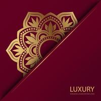 Luxury mandala background, vector design 011