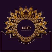 Luxury mandala background, vector design 014