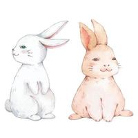 Cute watercolor rabbit for design. Vector illustration.