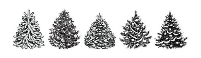 árboles de navidad, vector, eps, 10 vector