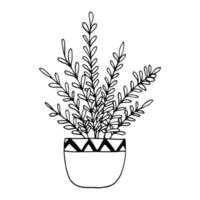 houseplant in a pot icon hand drawn. , minimalism, scandinavian, monochrome, nordic sticker plant flower vector