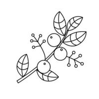 Contour black-and-white drawing of  a branch with berries and leaves. Vector illustration. Coloring page.