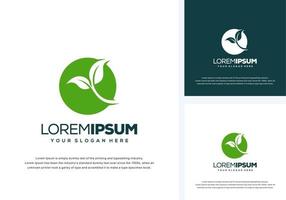 abstract leaf logo design vector