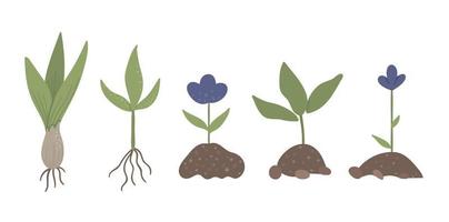 Vector set of sprouted plants with roots, flowers, bulb isolated on white background. Flat spring garden illustration. Gardening icons collection