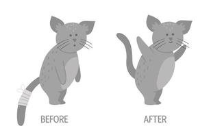 Vector ill animal versus healthy. Cute cat with bandage on its tail. Funny patient characters. Medical illustration for children. Before and after illness picture. Recovery concept