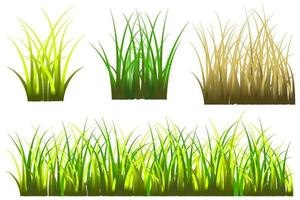 vector de hierba libre, hierba realista aislada