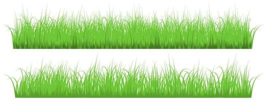 green grass banner vector isolated on white background