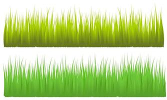 fondo de hierba verde fondo blanco aislado, vector de pradera gratis