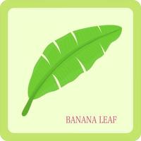 Banana leaf single icon abstract background vector illustration