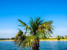 HDR River Rhein view in Duesseldorf - selective focus on palm photo