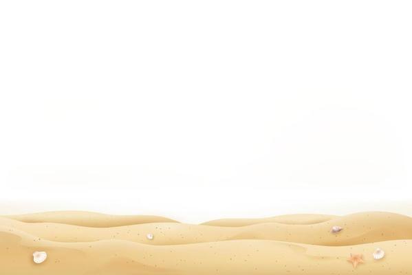 Summer beach sand and seashells on white background with copy space