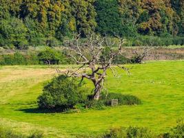 hdr vista del campo en chepstow foto