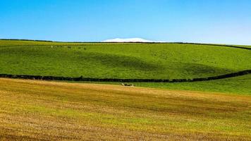 escena hdr con colinas, hierba y cielo azul foto