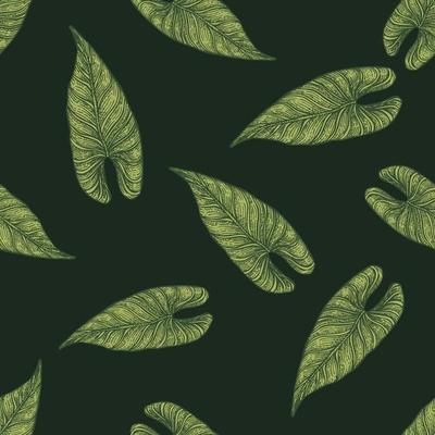 Engraving leaf araceae seamless pattern. Vintage leaves background.