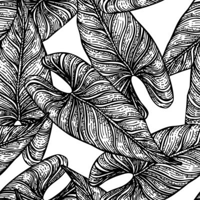 Tropical araceae leaf seamless pattern. Jungle leaves background.