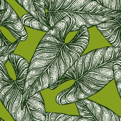 Tropical araceae leaf seamless pattern. Jungle leaves background.