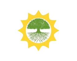 Shinning sun with oak tree inside vector