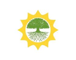 Shinning sun with oak tree inside vector