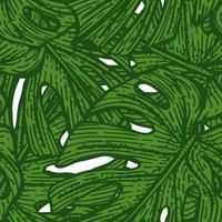 Tropical Monstera leaf seamless pattern. Jungle leaves background. vector