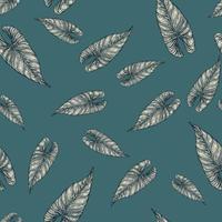 Engraving leaf araceae seamless pattern. Vintage leaves background. vector