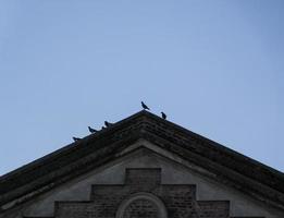 Tip of a roof, with doves walking on photo