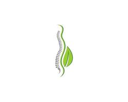 Back spine with green leaf beside vector