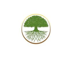 Dense tree and roots inside the circle logo vector