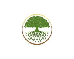 Dense tree and roots inside the circle logo vector