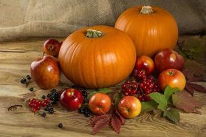 pumpkins, apples, berries photo