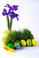 Easter eggs in fresh green grass photo