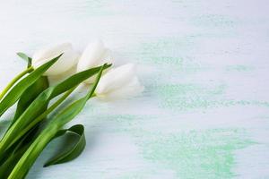 White flower bouquet floral background photo